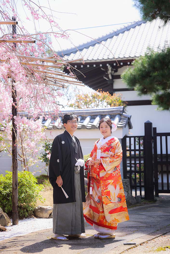 ピンクの枝垂れ桜と色打掛の新郎新婦様