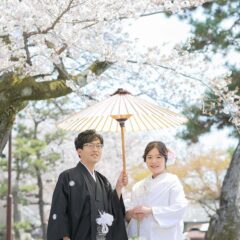 京都の桜を背景に番傘とのお写真