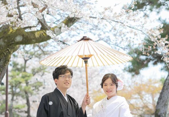 京都の桜を背景に番傘とのお写真