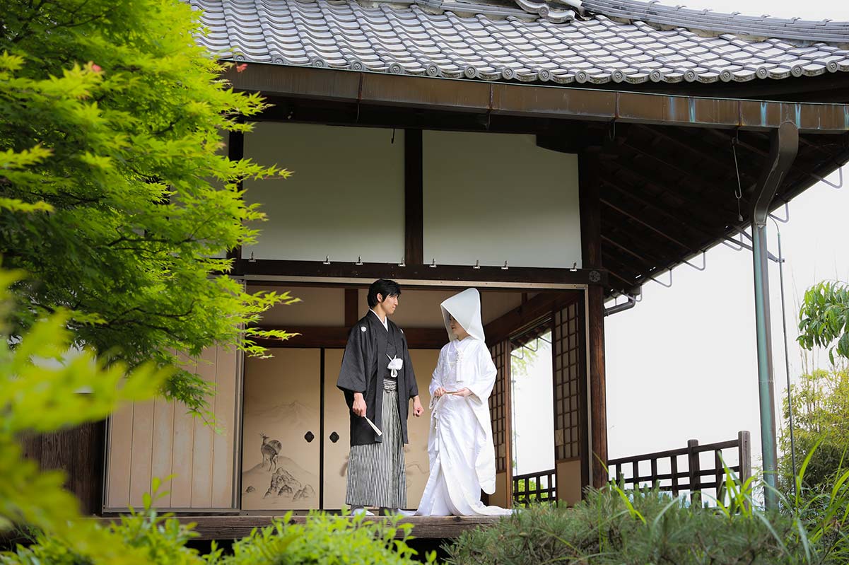 白無垢綿帽子姿で新郎様と見つめ合う花嫁様