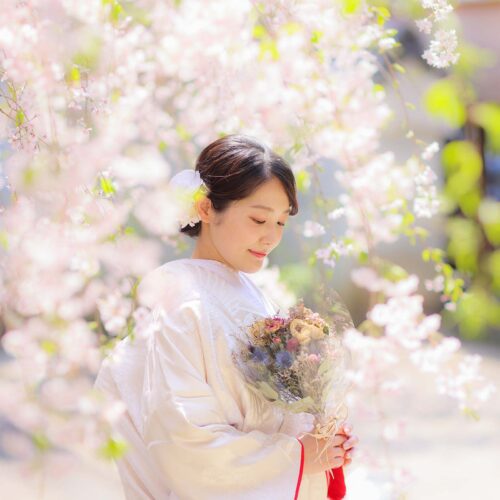 枝垂れ桜と美しい花嫁様