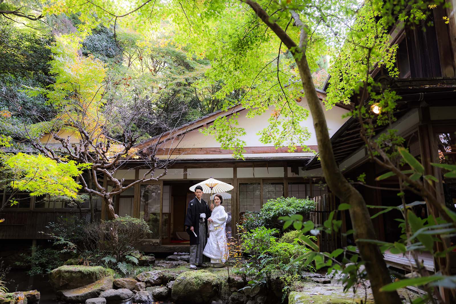 京都の紅葉の名所長楽寺で青紅葉と撮影