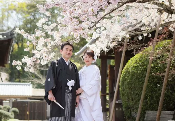 京都の桜と和装前撮りのカップル様