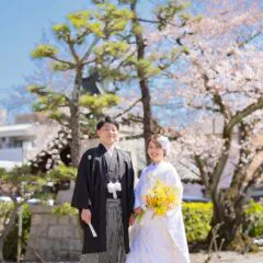 京都の桜と青空を背景に和装前撮り